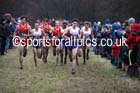 Senior mens Great Edinburgh Cross Country. Photo: David T. Hewitson/Sports for All Pics